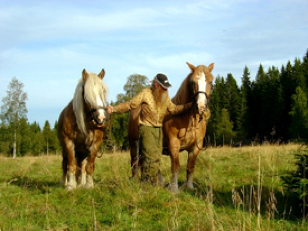 Der Pferdemann / Die Waldarbeiter